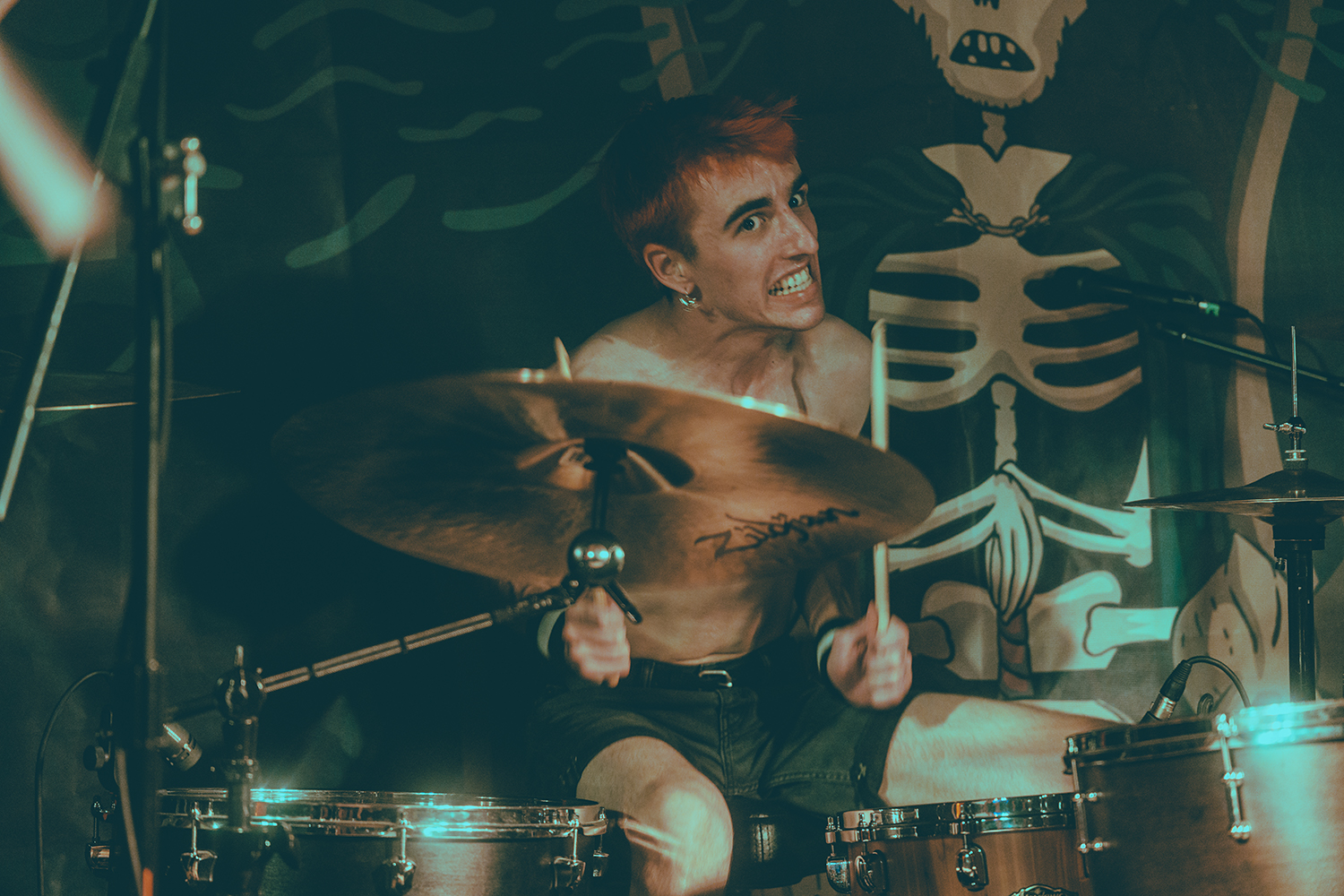 Aren't We Amphibians — PNWK Records