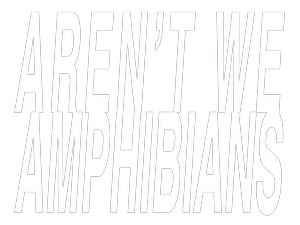 Aren't We Amphibians